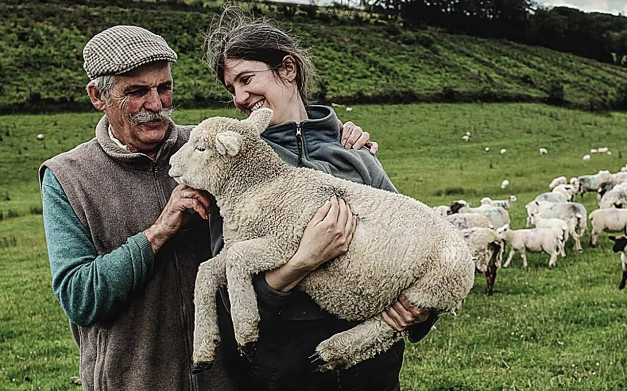 Farmári na britskej ovčej farme